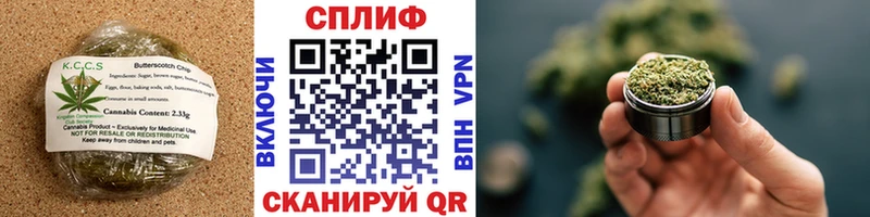Cannafood марихуана  гидра вход  Рошаль 