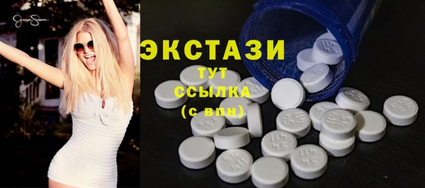 гашик Алексин
