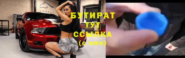 гашик Алексин