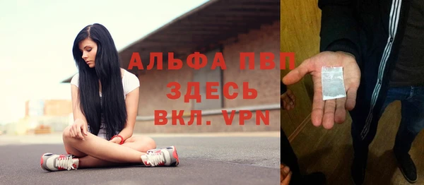 гашик Алексин