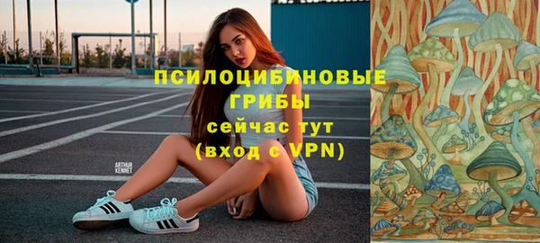 крисы Осташков