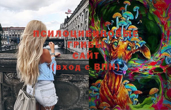 стафф Остров
