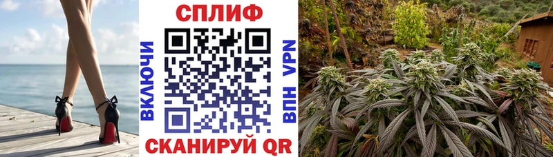 где купить наркотик  Рошаль  Канабис LSD WEED 